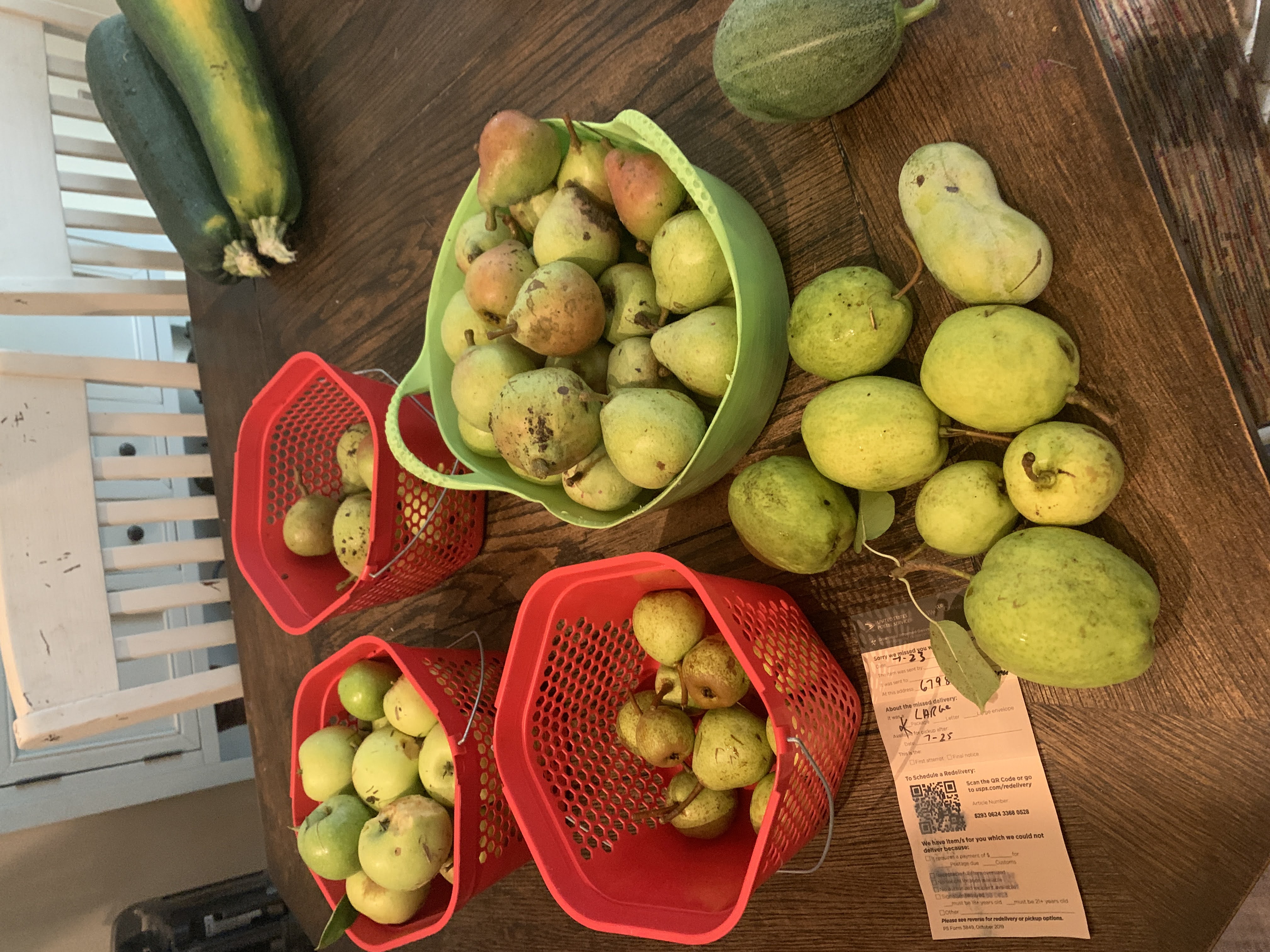 Harvest 2022